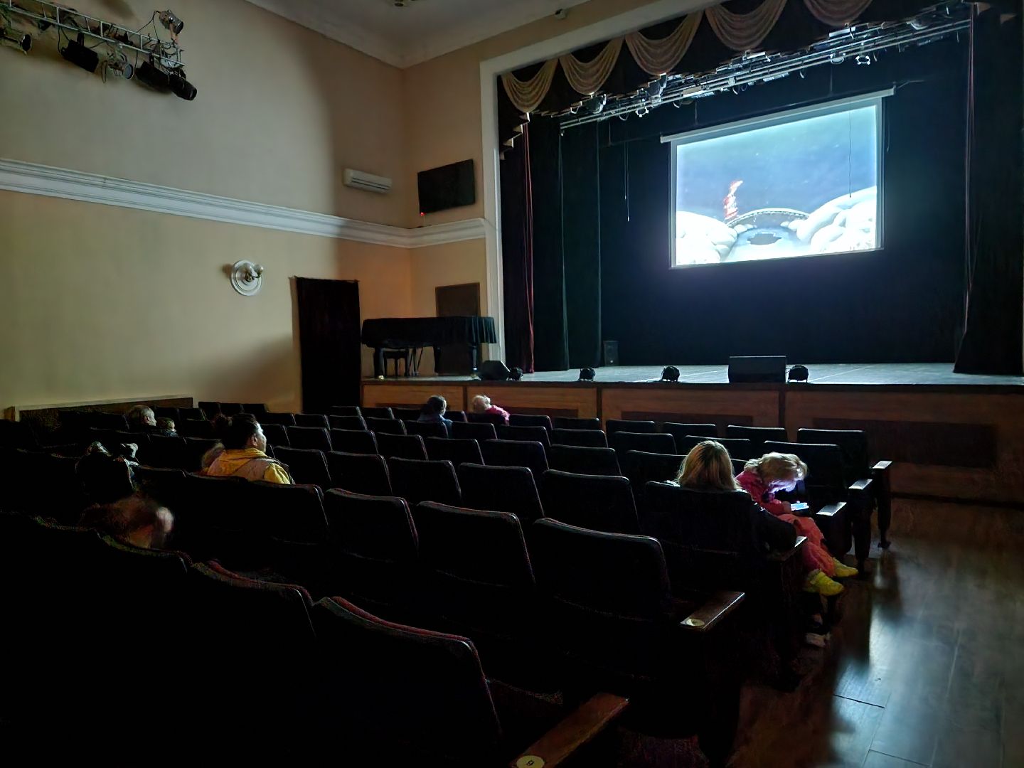 пушкино, выборы, выборы губернатора, молодежь, дети,