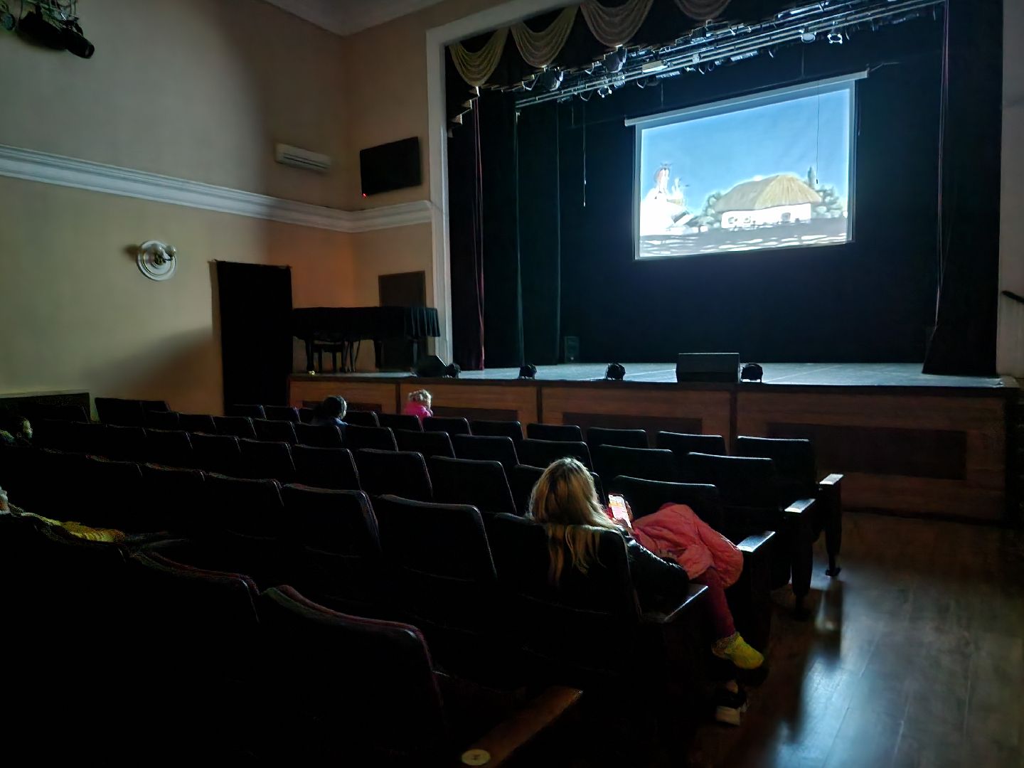 пушкино, выборы, выборы губернатора, молодежь, дети,