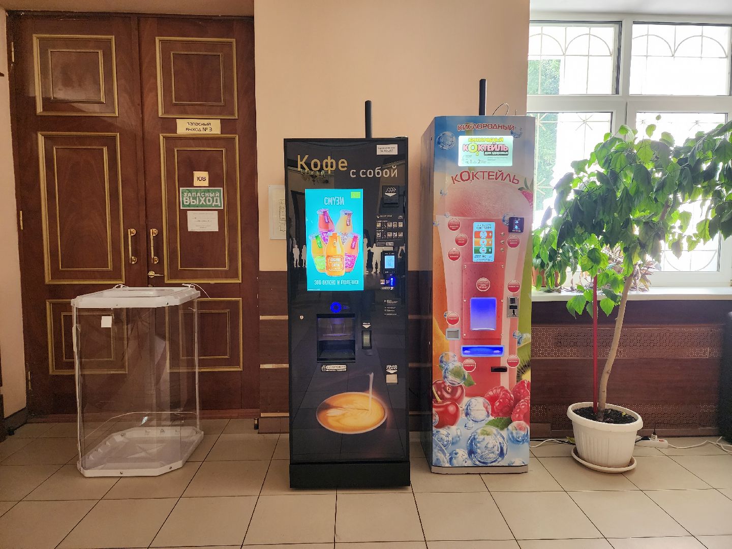 пушкино, выборы, выборы губернатора, молодежь, дети,