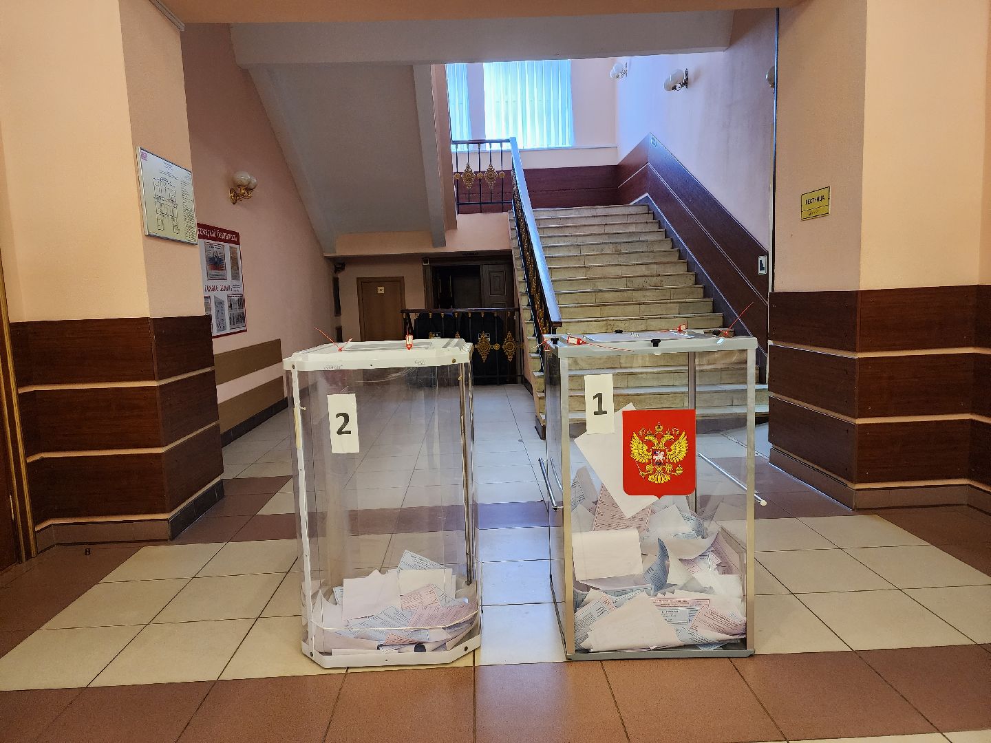 пушкино, голосование, выборы 2023, ветеран труда,