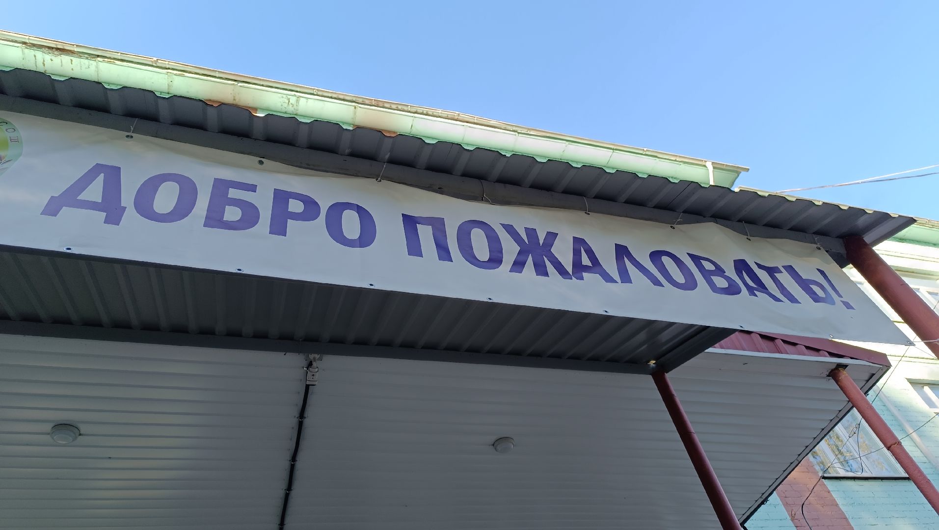 Лобня, общество, выборы