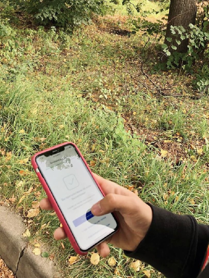 Фрязино, голосование, выборы, губернатор, Подмосковье, #ПодмосковьеВыбирает2023 #ЕДГ2023