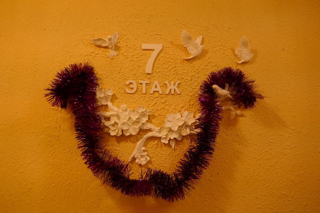 Подольск, общество, подъезд