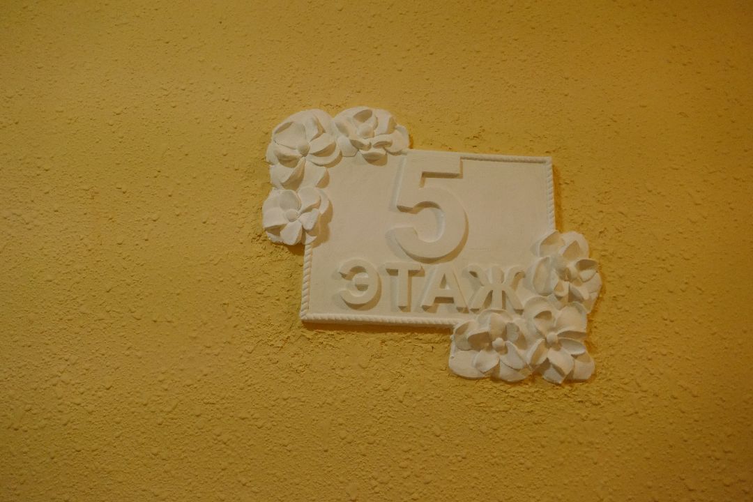 Подольск, общество, подъезд