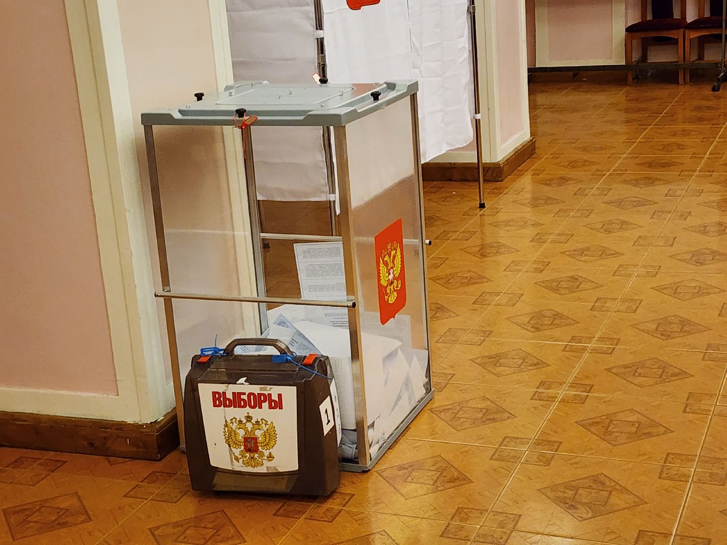 выборы, губернатора, 2023, голосование, Баранов