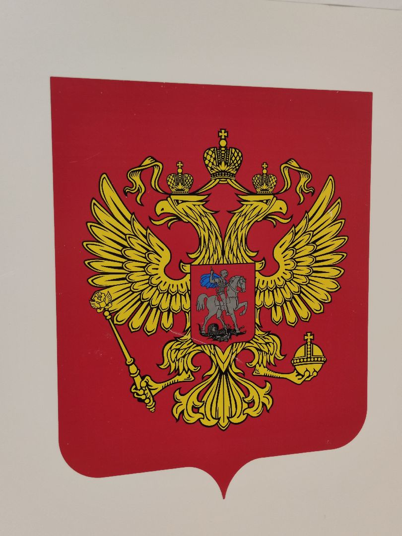 Предприниматель, выборы, бизнес, последний день голосования, общественный наблюдатель, Дубна