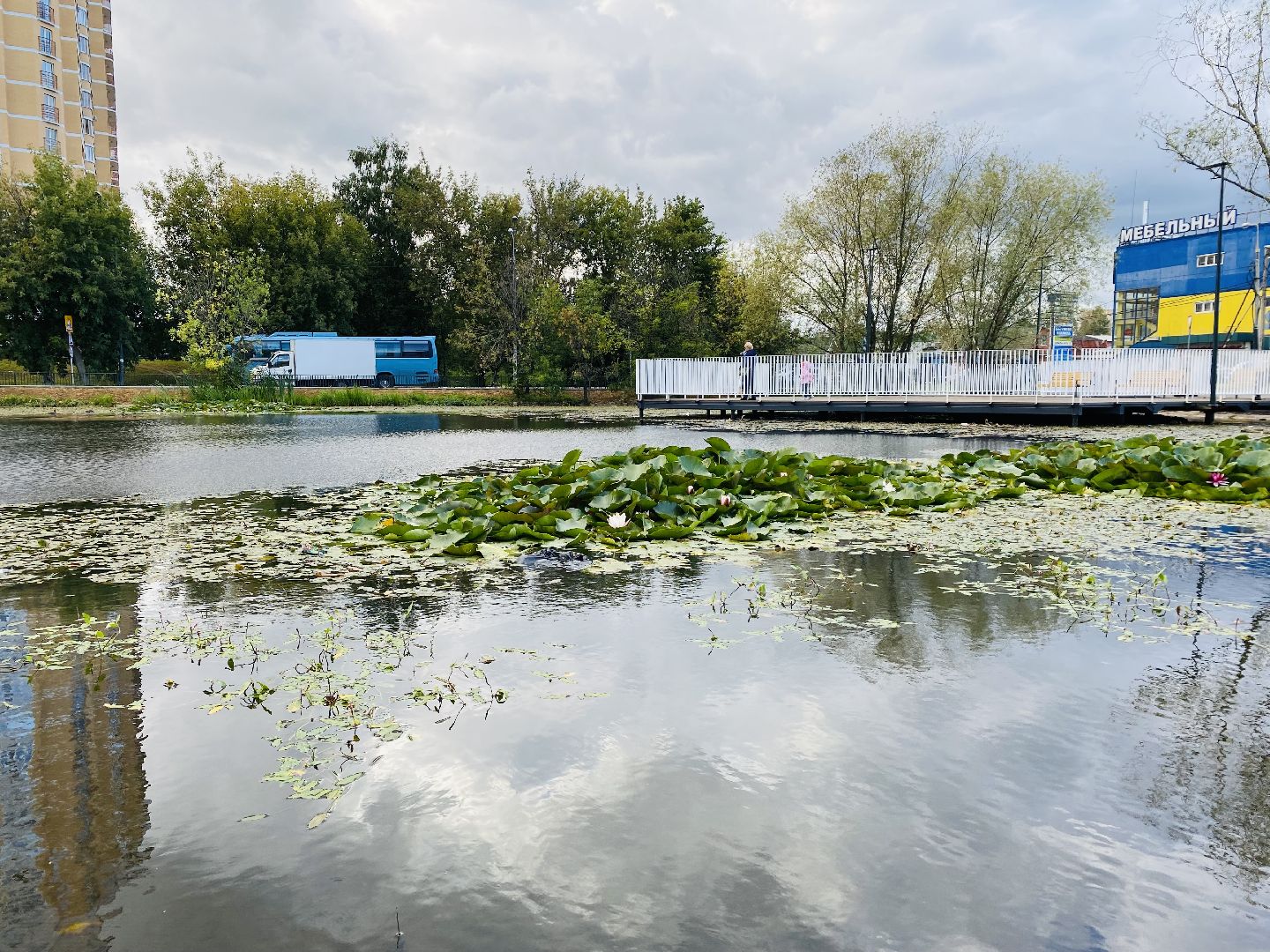 Балашиха, микрорайон Кучино, пруд Керосинка, благоустройство