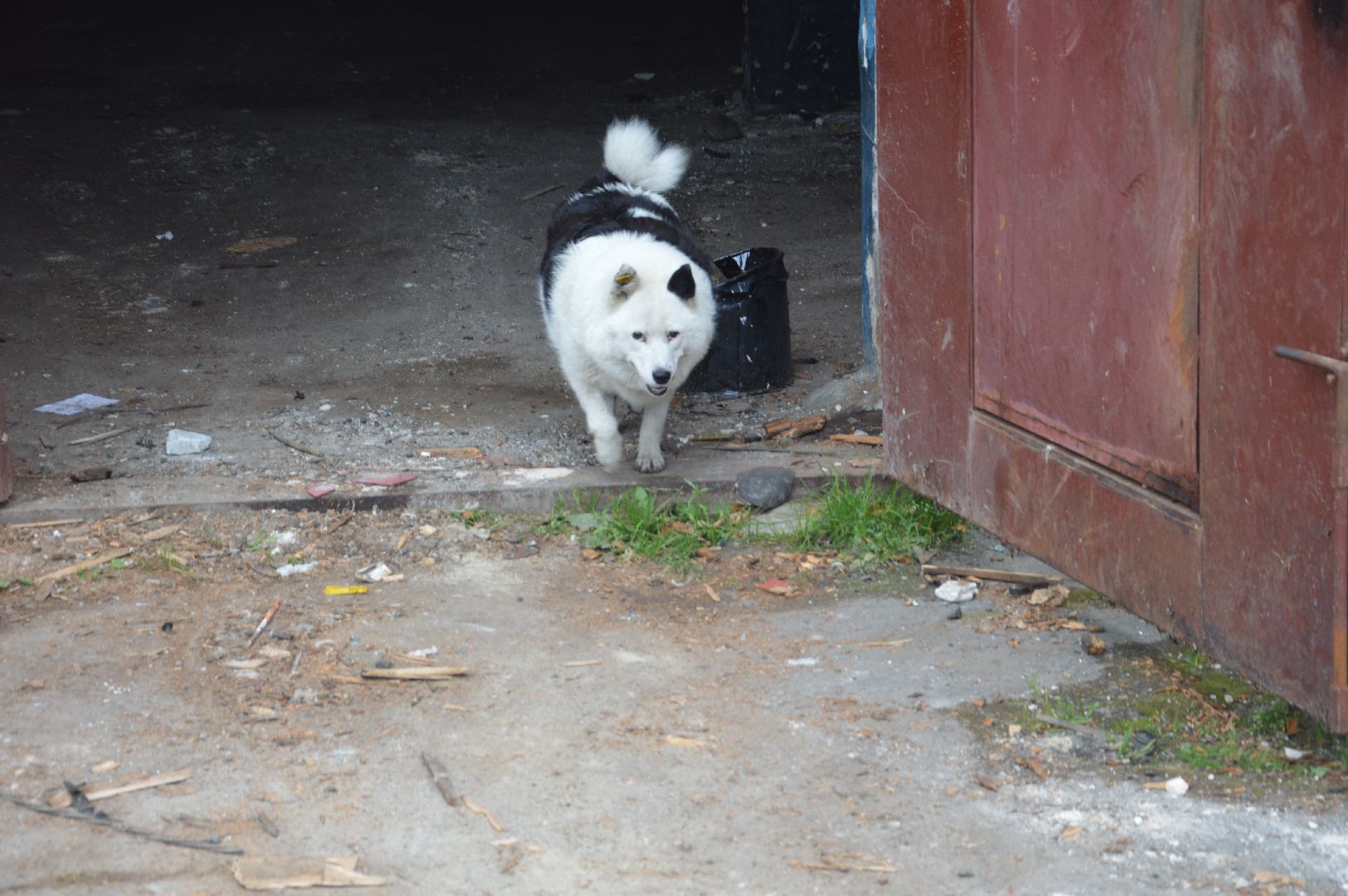 #шатура, #керва, #снос_здания, #пожарная_часть, #ремонт, #строительство