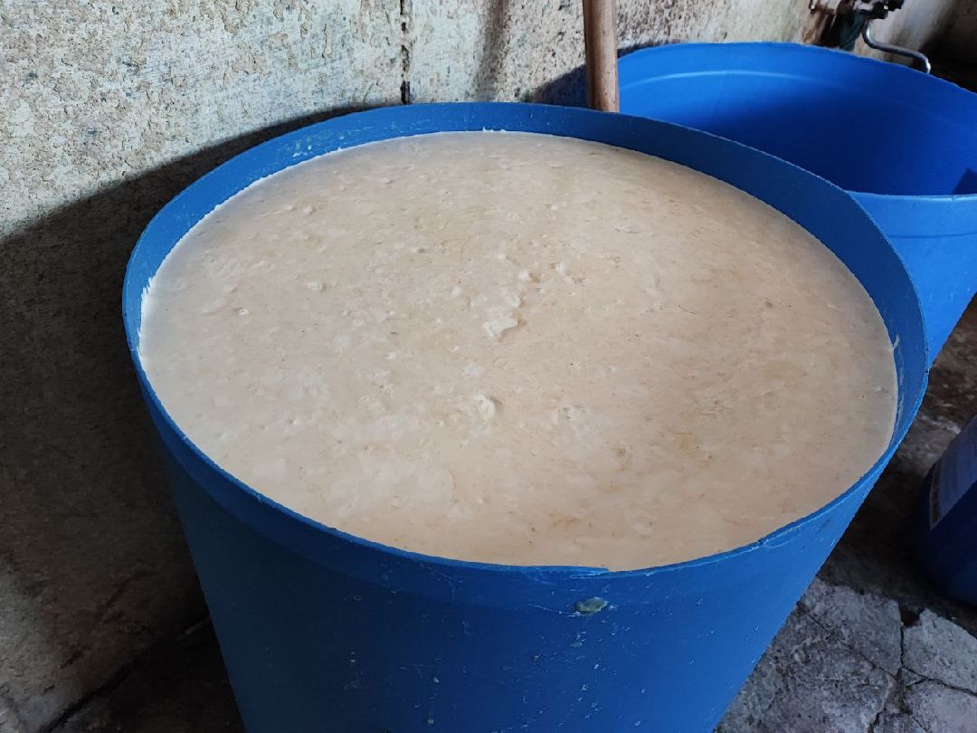 Телята, сельское хозяйство, Серебряные Пруды