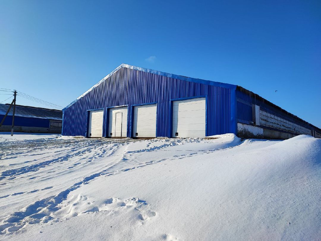 Телята, сельское хозяйство, Серебряные Пруды