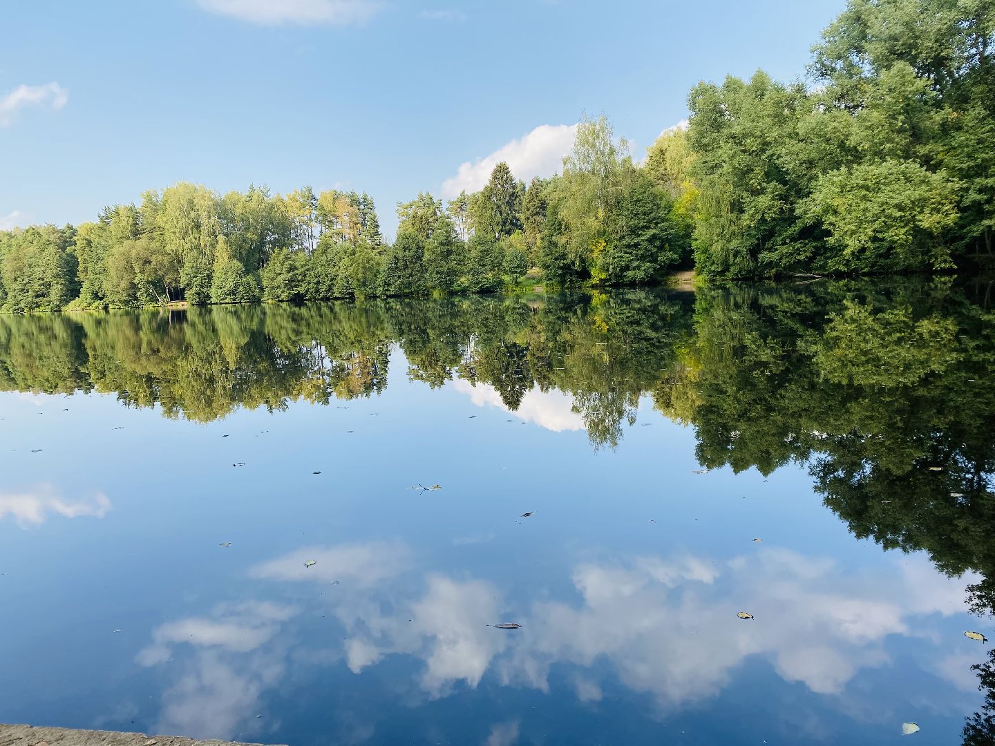 Балашиха, экология, Салтыковская пруды, спасти пруды