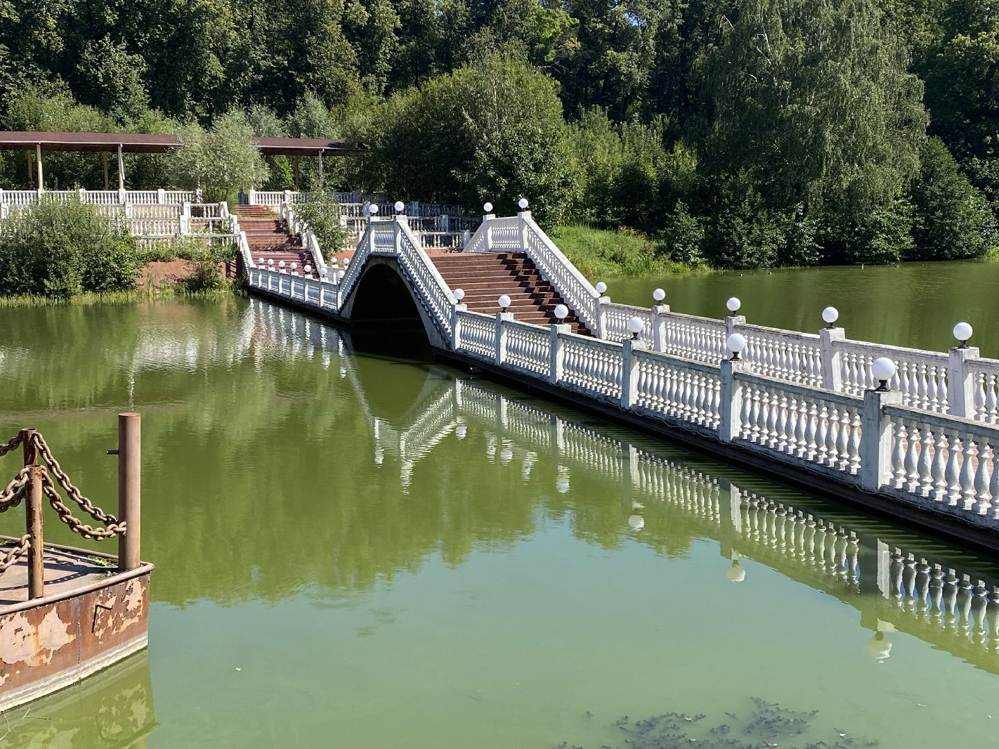 Балашиха, экология, Салтыковская пруды, спасти пруды