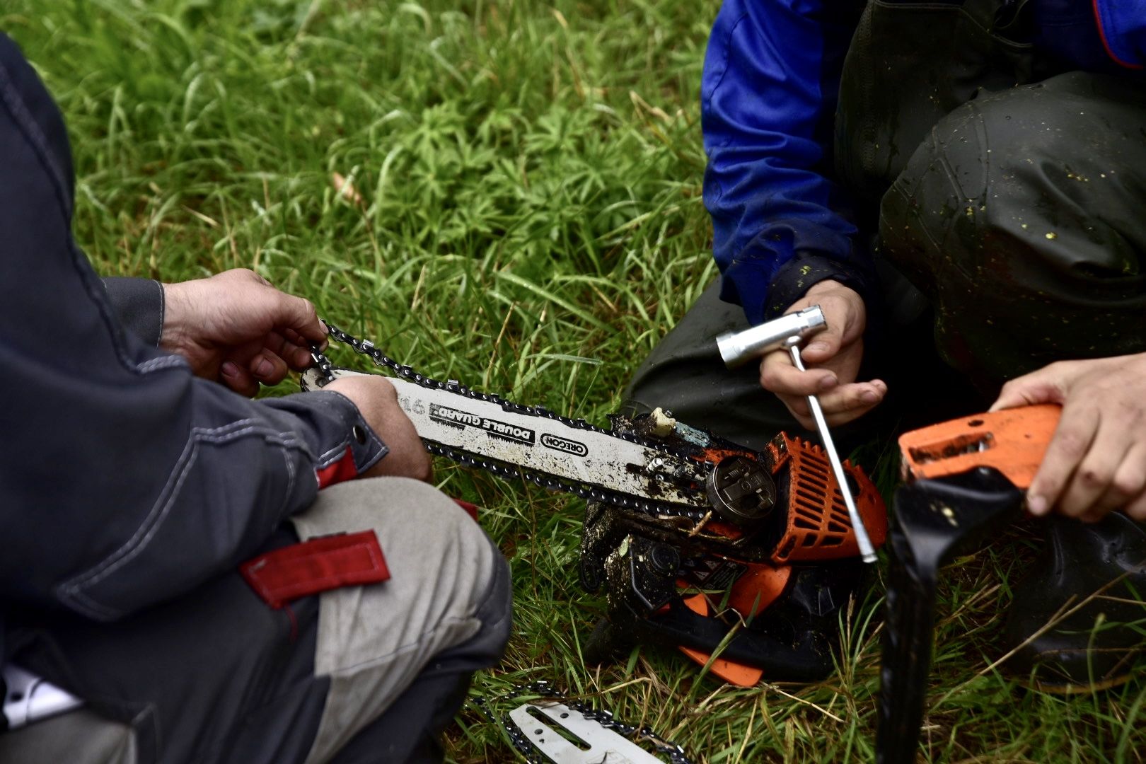 Солнечногорск, очистка, пруд, работа, экология,