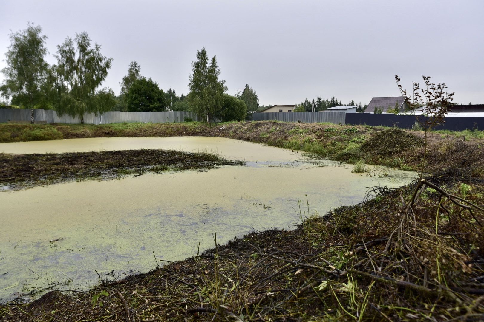 Солнечногорск, очистка, пруд, работа, экология,