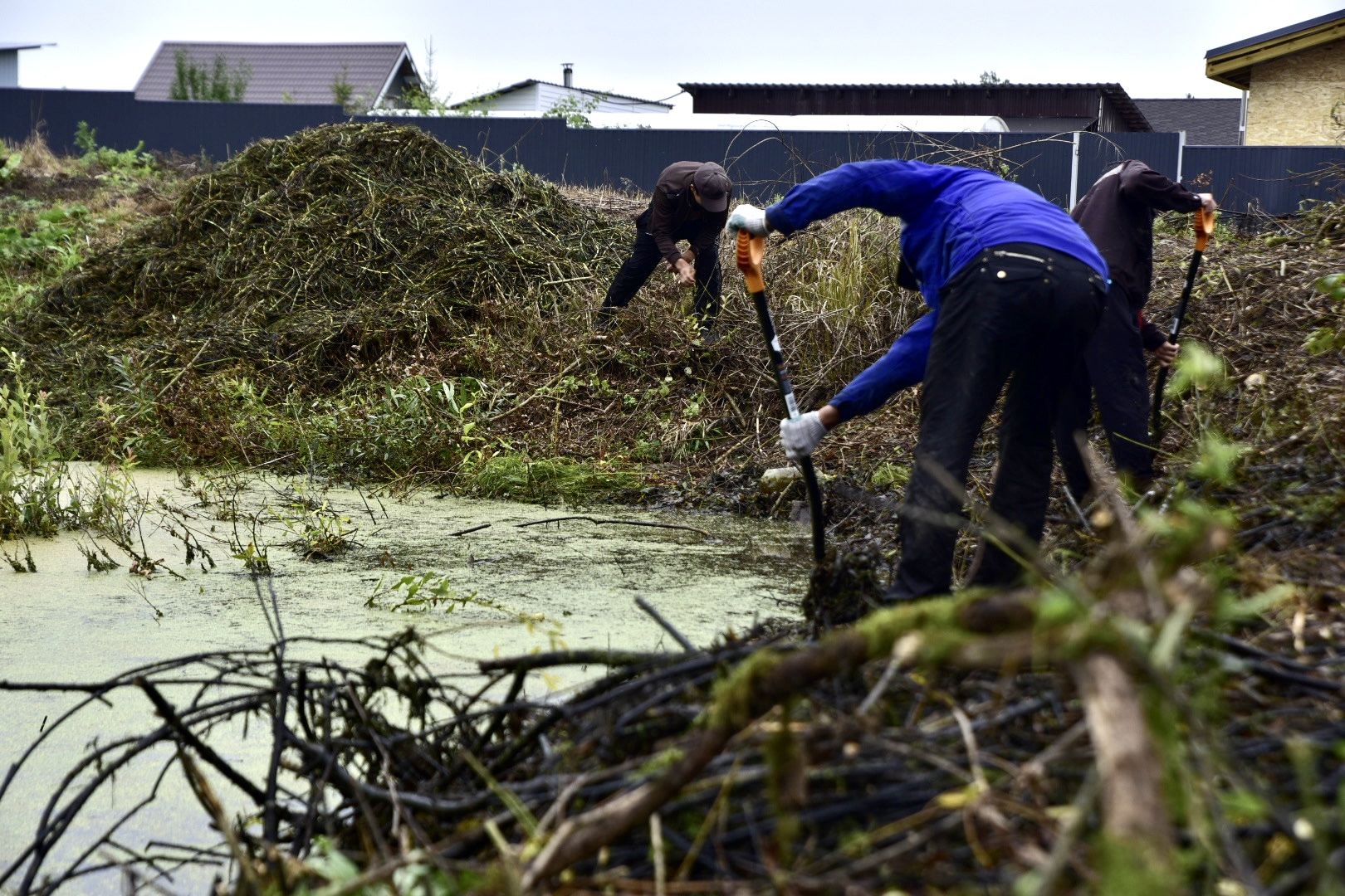 Солнечногорск, очистка, пруд, работа, экология,