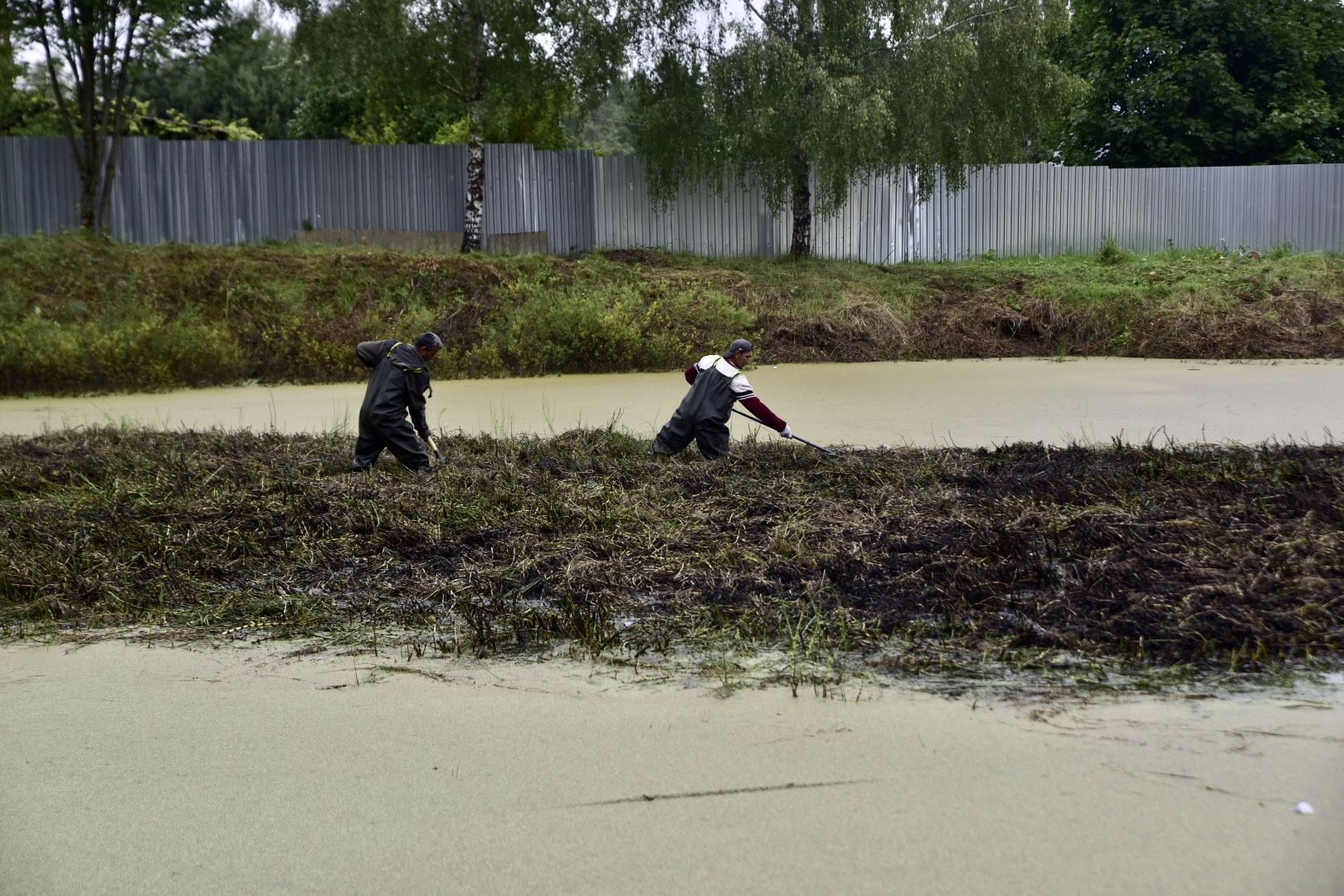 Солнечногорск, очистка, пруд, работа, экология,