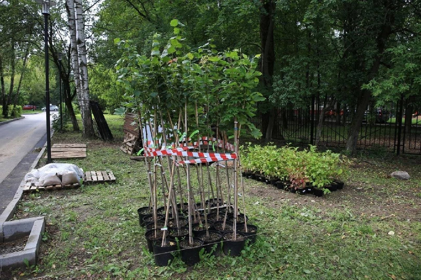 Долгопрудный, Физмат-лицей, грант, компьютеры, микроскоп