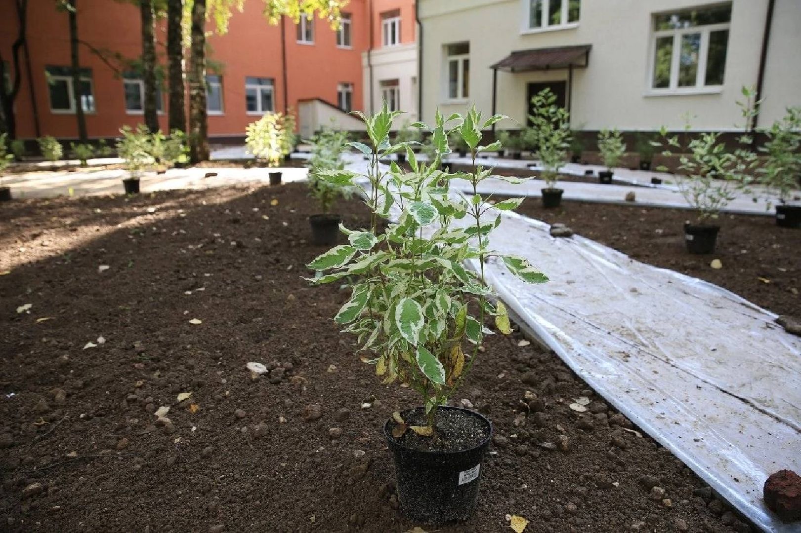 Долгопрудный, Физмат-лицей, грант, компьютеры, микроскоп