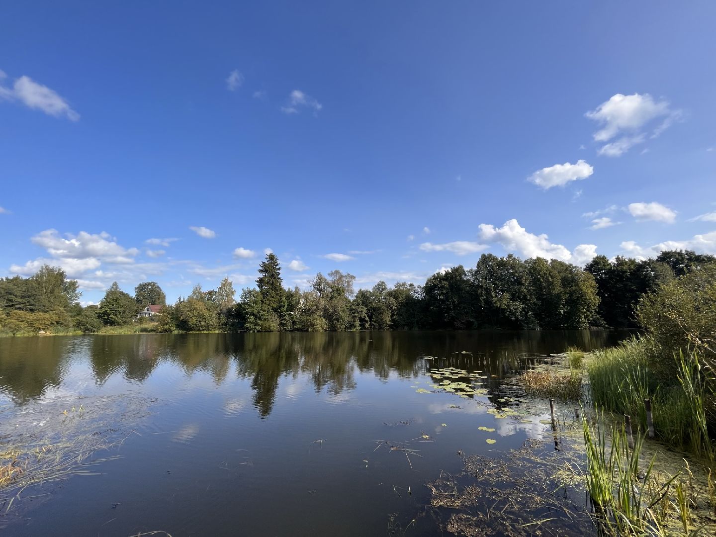 Шаховская, История, деревня