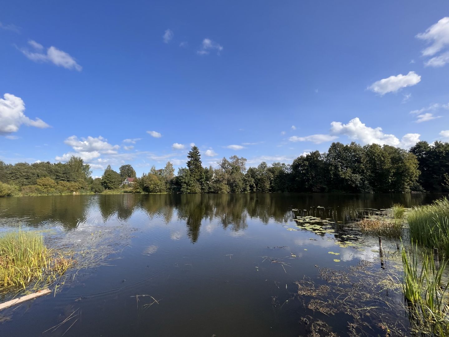 Шаховская, История, деревня