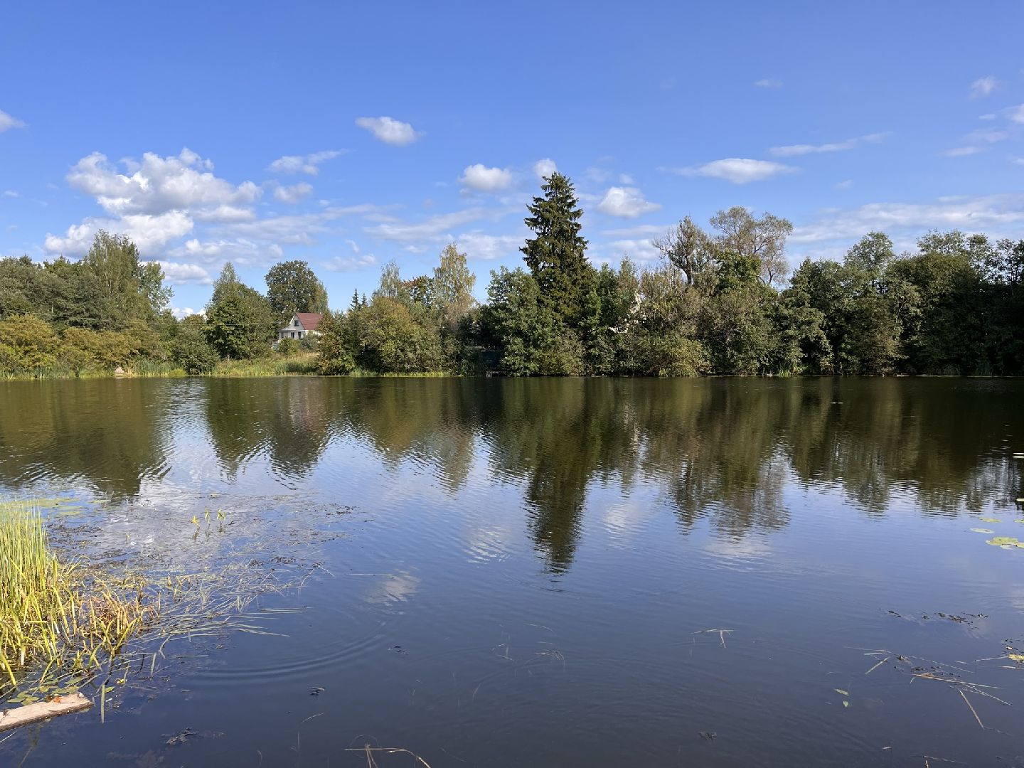 Шаховская, История, деревня