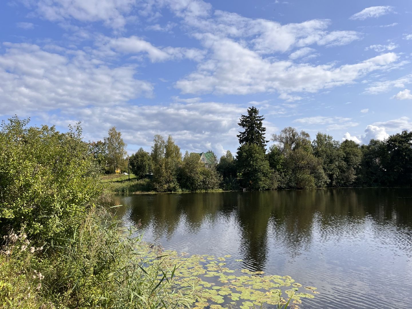 Шаховская, История, деревня