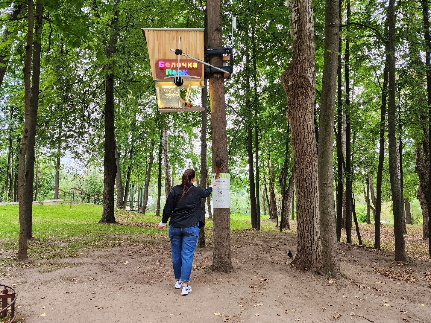 Раменское, благоустройство, Раменский городской парк, интерактивная кормушка для белок