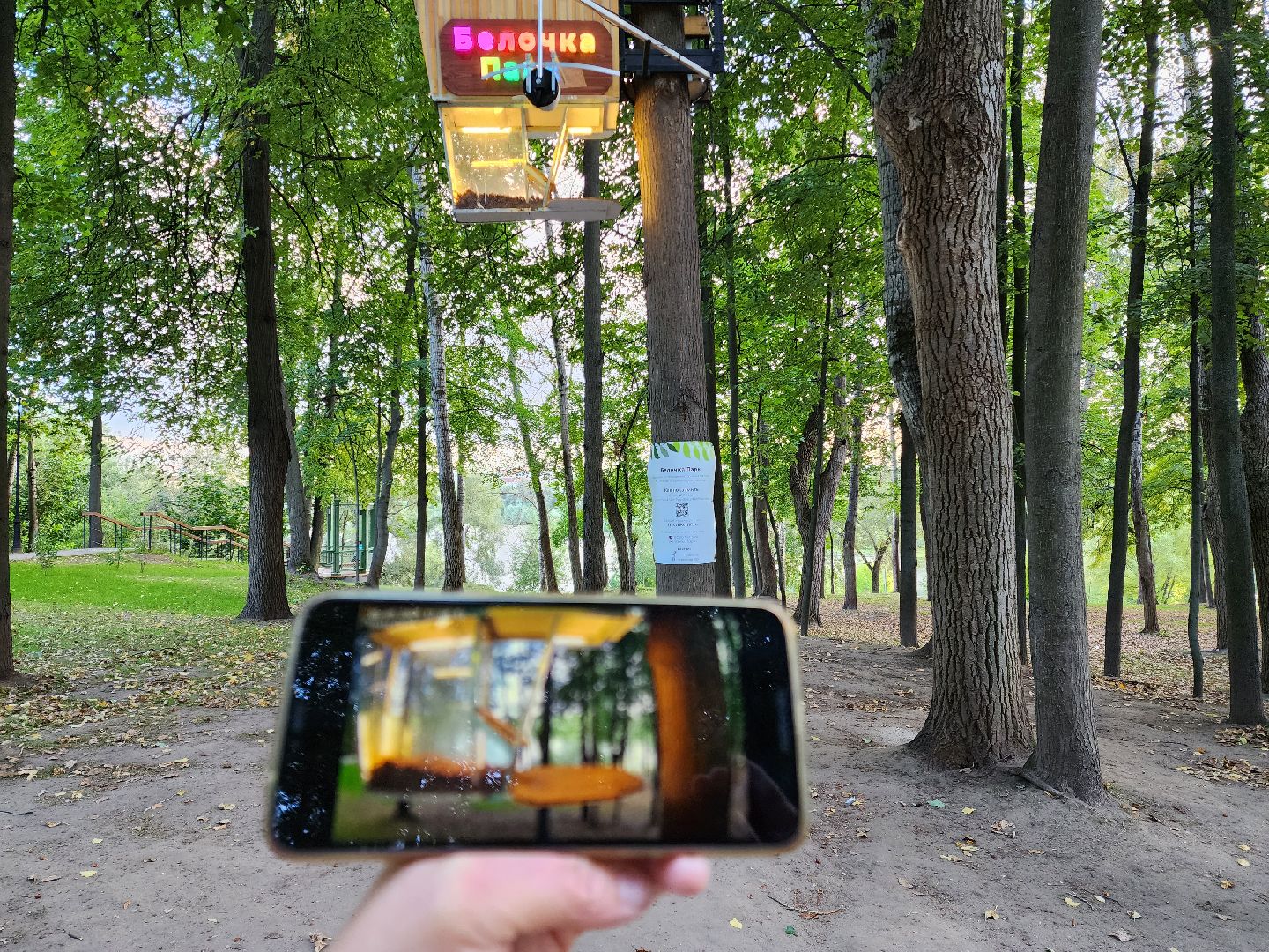 Раменское, благоустройство, Раменский городской парк, интерактивная кормушка для белок