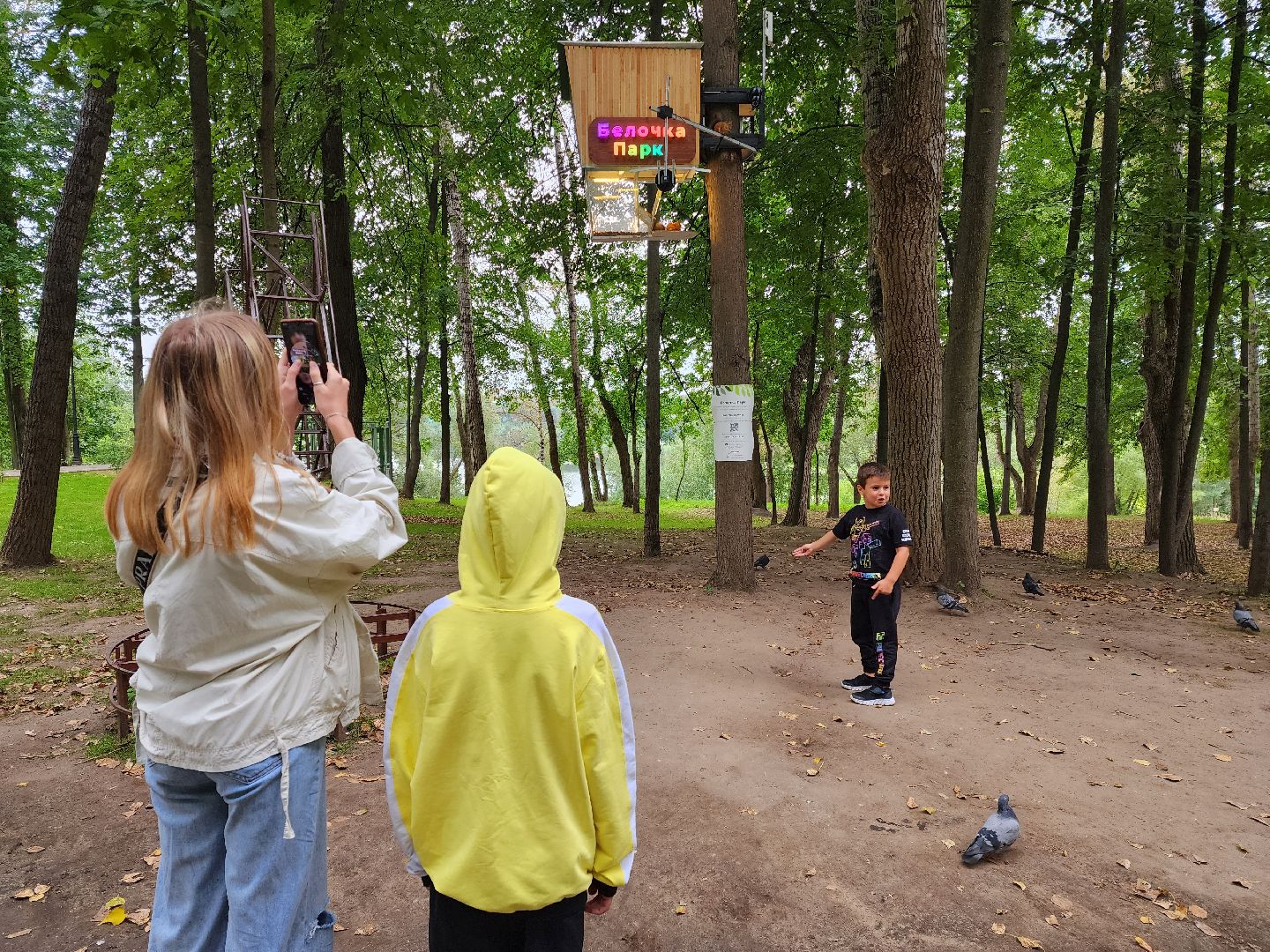 Раменское, благоустройство, Раменский городской парк, интерактивная кормушка для белок