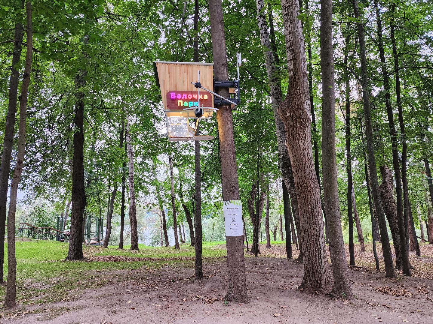 Раменское, благоустройство, Раменский городской парк, интерактивная кормушка для белок