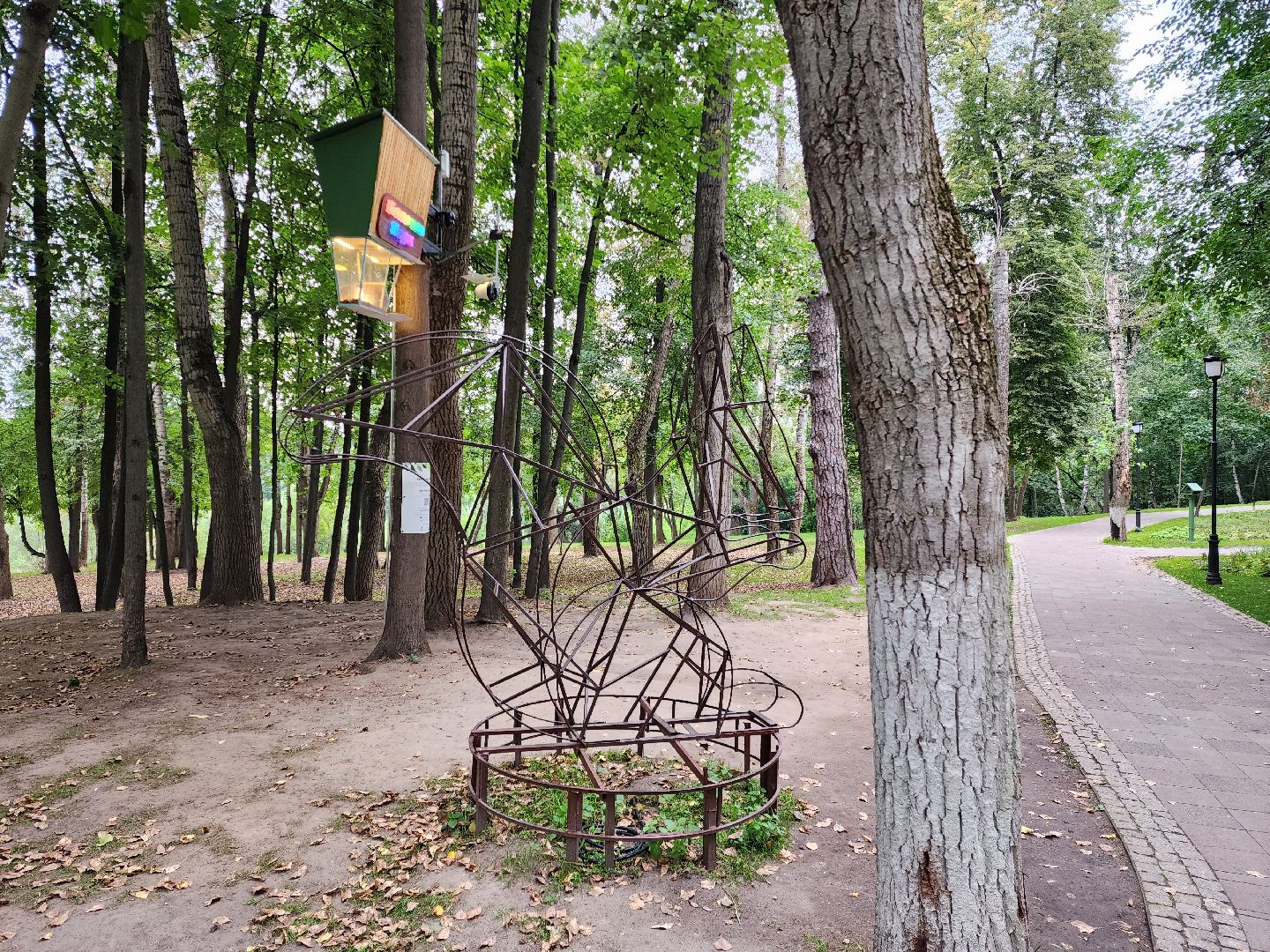Раменское, благоустройство, Раменский городской парк, интерактивная кормушка для белок