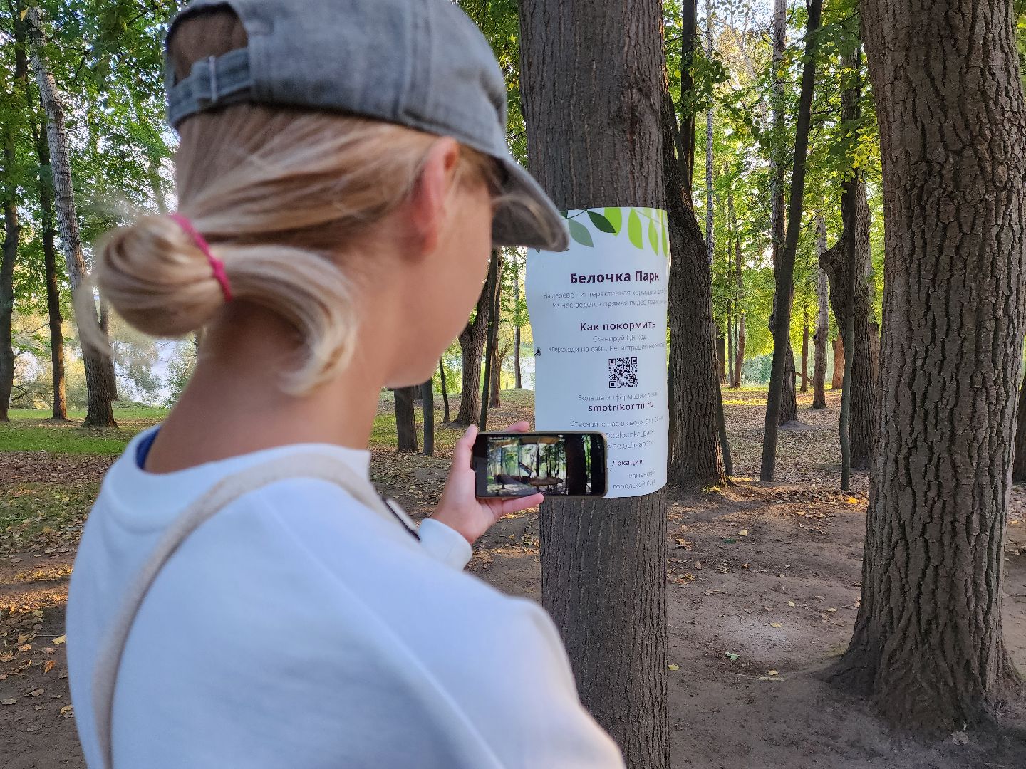 Раменское, благоустройство, Раменский городской парк, интерактивная кормушка для белок