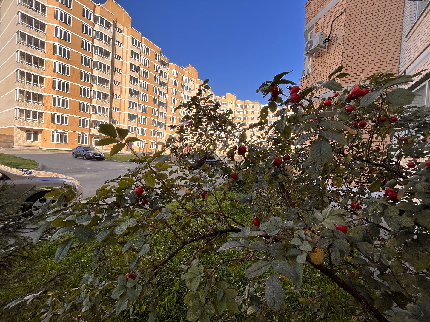 наш лес, экологическая акция, экология, руза, рузский городской округ, московская область, подмосковье, губернатор воробьев,