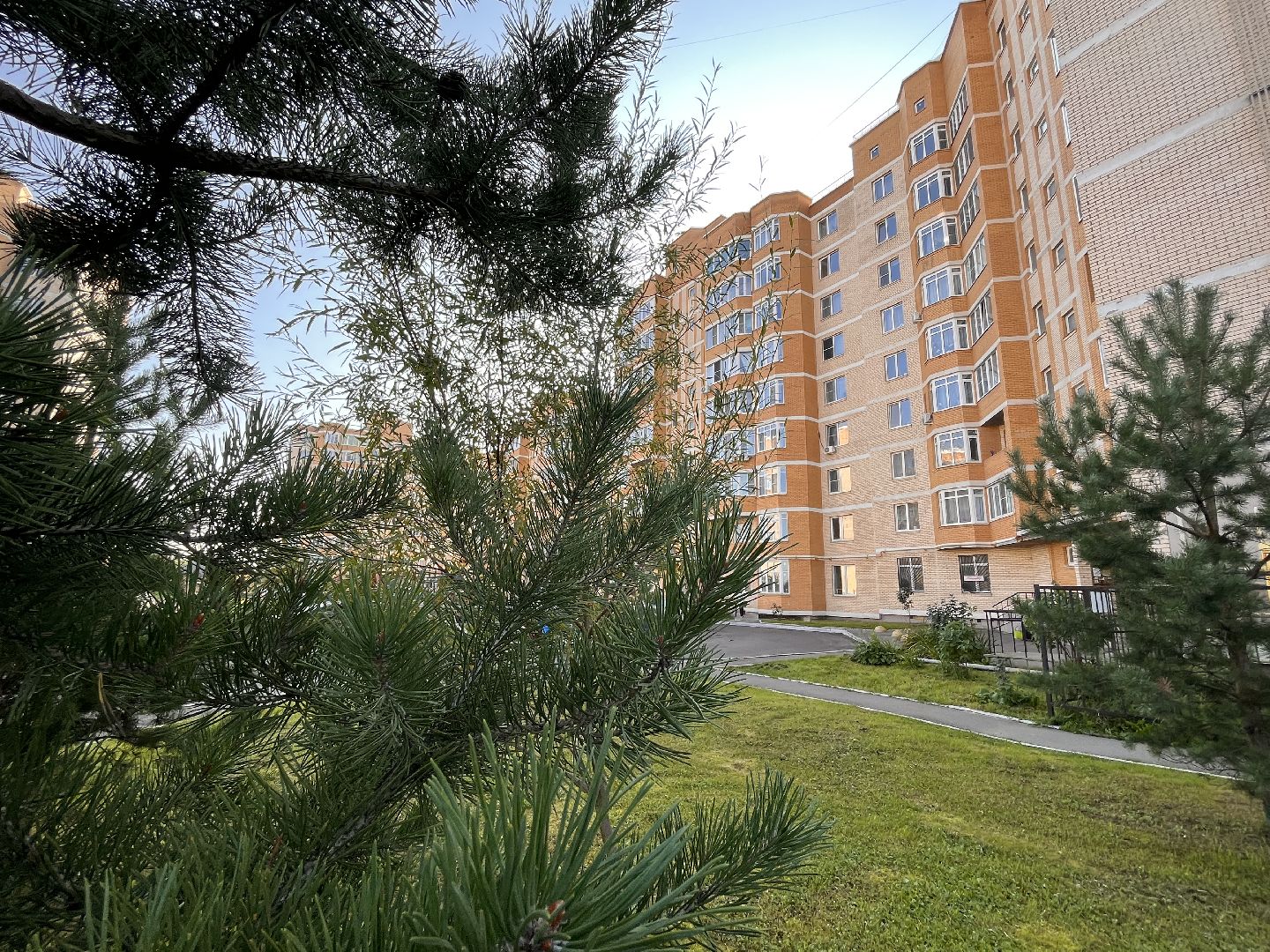 наш лес, экологическая акция, экология, руза, рузский городской округ, московская область, подмосковье, губернатор воробьев,