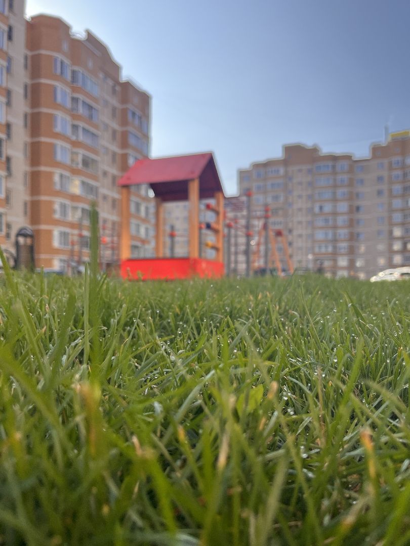 наш лес, экологическая акция, экология, руза, рузский городской округ, московская область, подмосковье, губернатор воробьев,