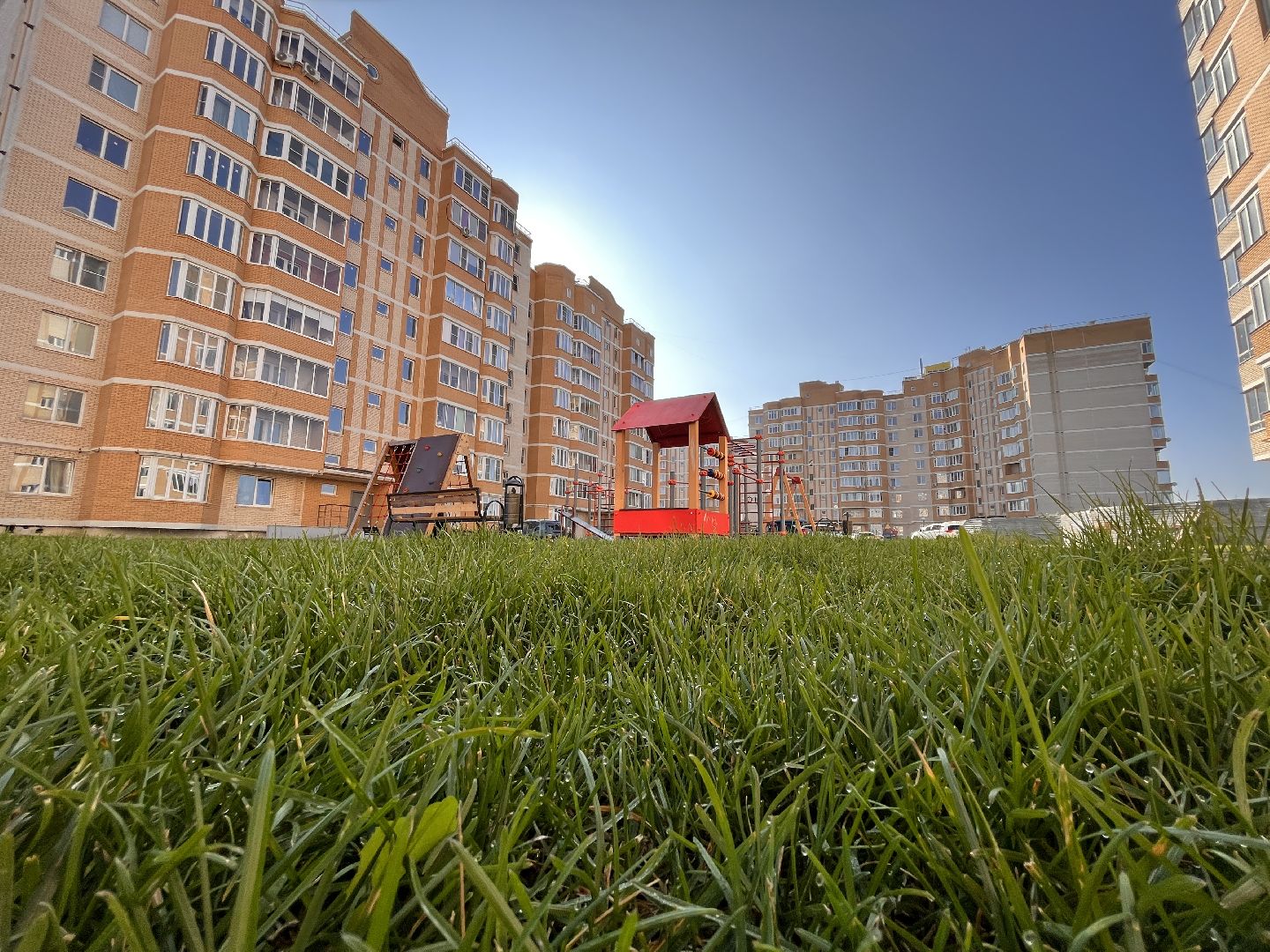 наш лес, экологическая акция, экология, руза, рузский городской округ, московская область, подмосковье, губернатор воробьев,