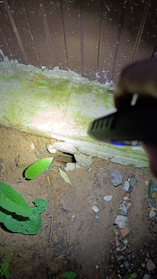 Лобня, ЖКХ, подвал