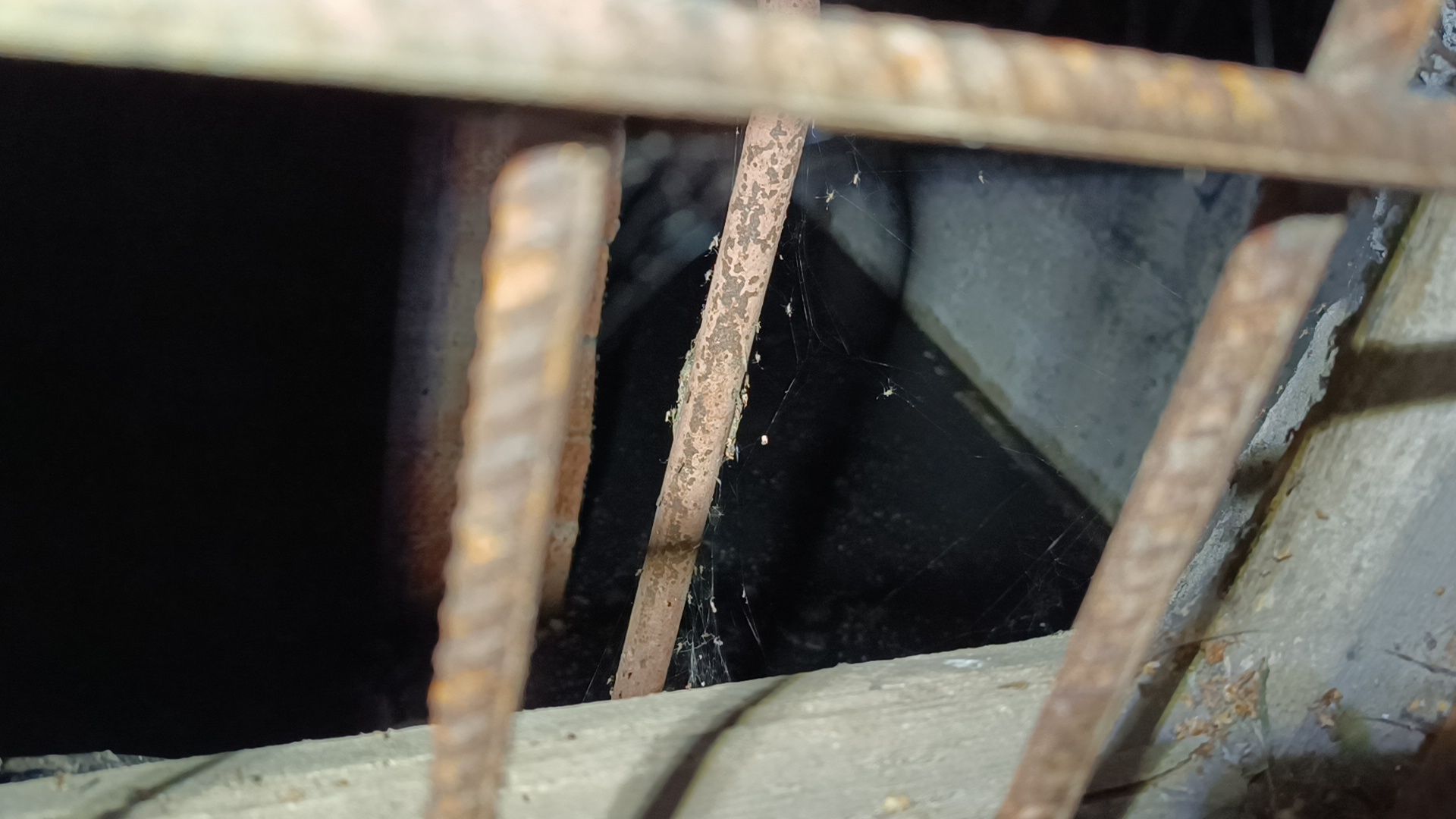 Лобня, ЖКХ, подвал