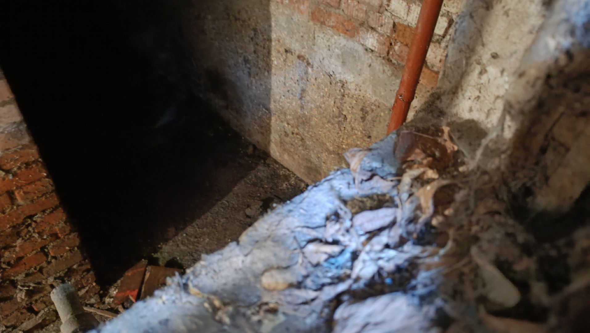 Лобня, ЖКХ, подвал