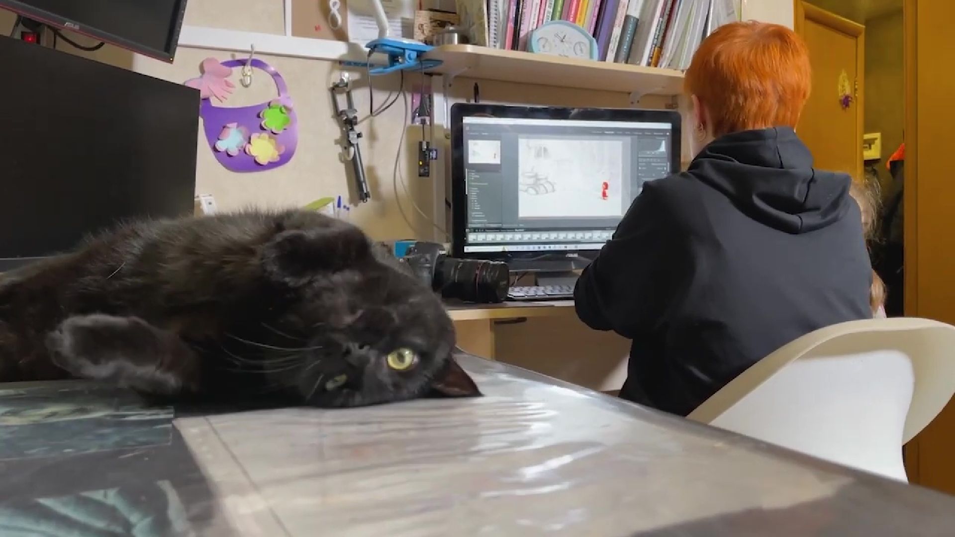 Реутов, люди, мультики, герои, камера