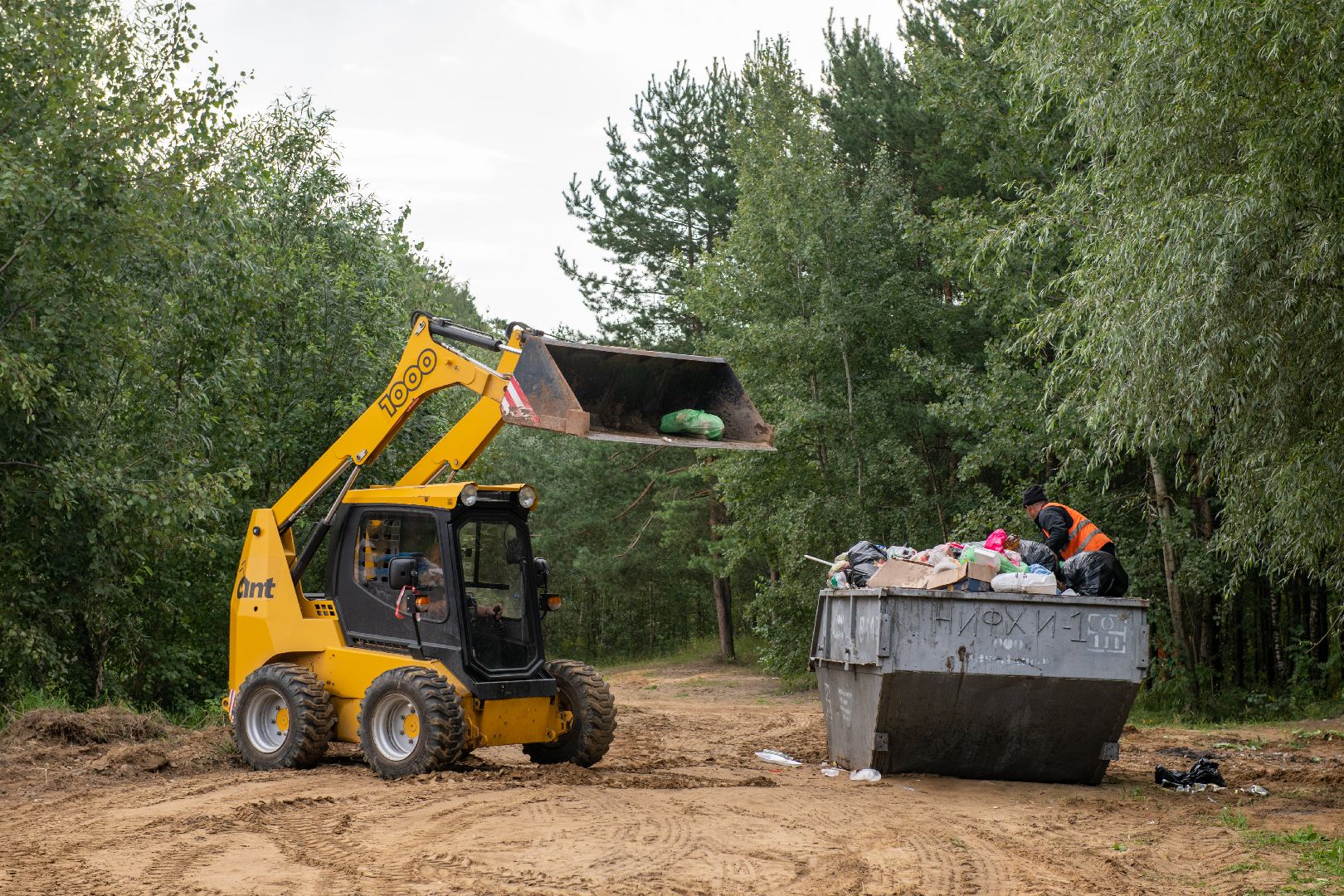 лыткарино, уборка, волкуша, лес, карьер
