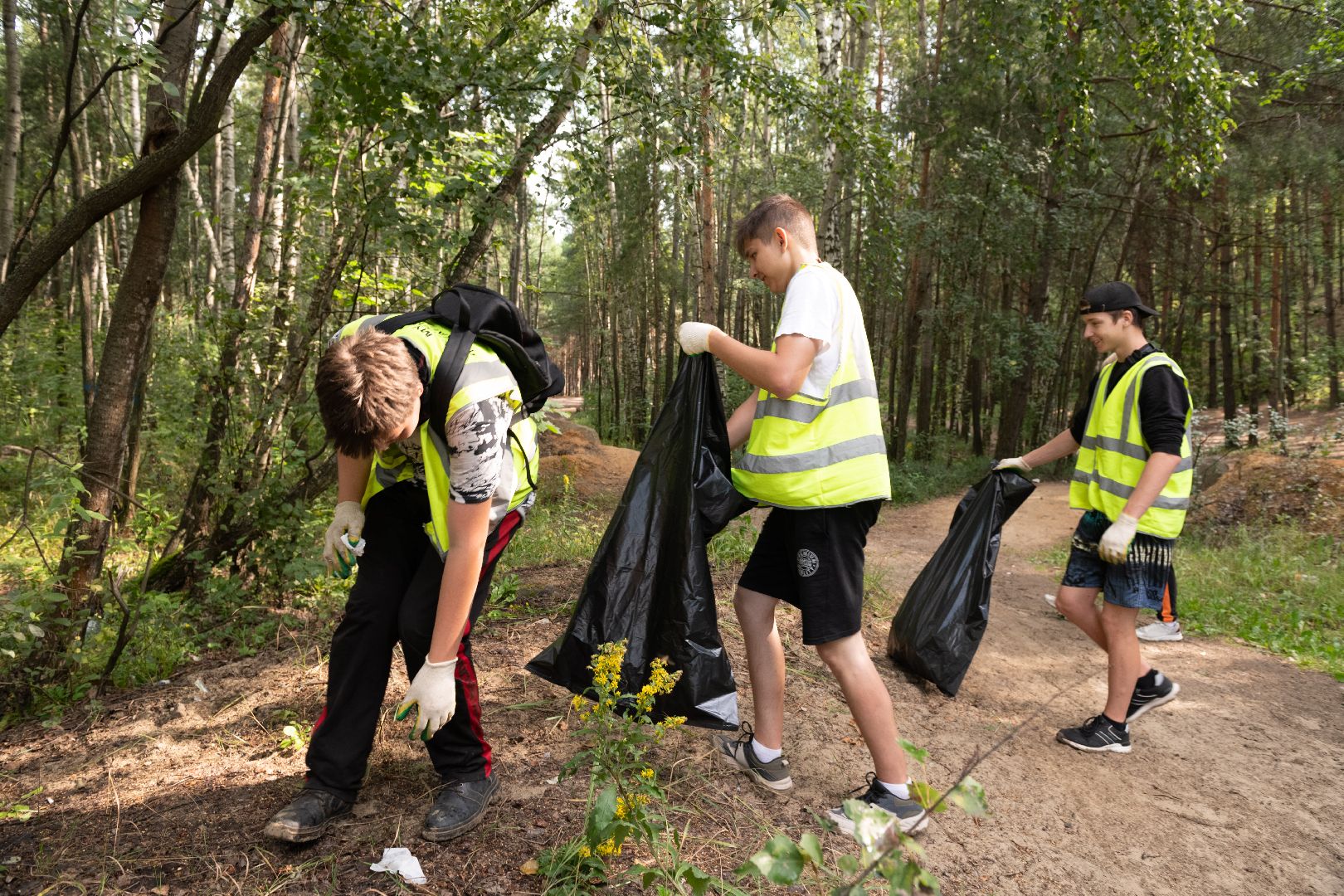 лыткарино, уборка, волкуша, лес, карьер