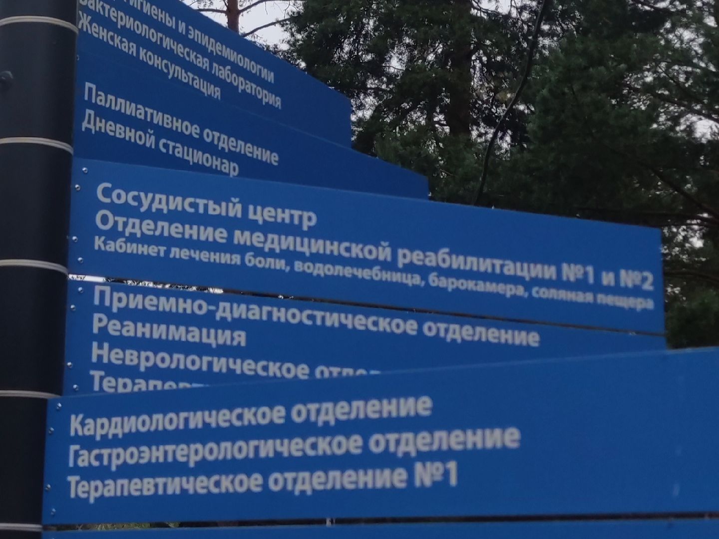 Выездной прием, сосудистый хирург-флеболог, фбуз мсч №9 фмба россии, Дубна