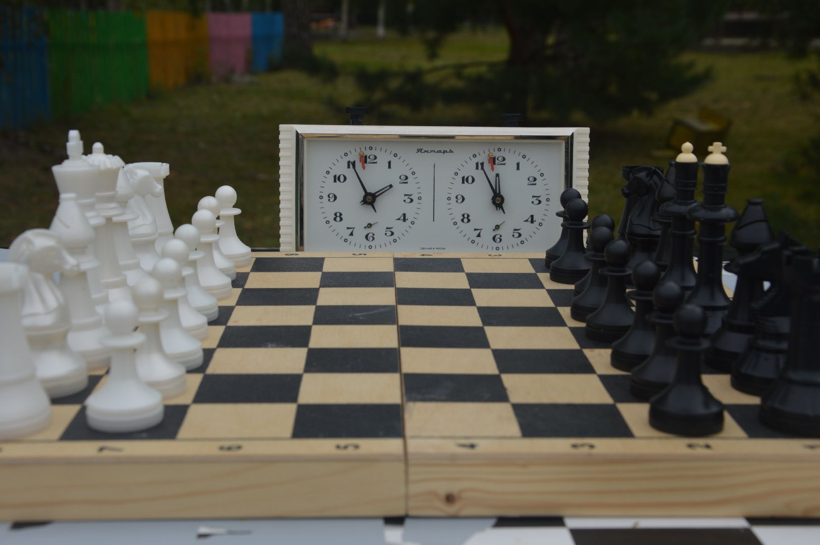 Шатура, парк, Шахматы, шашки, турнир