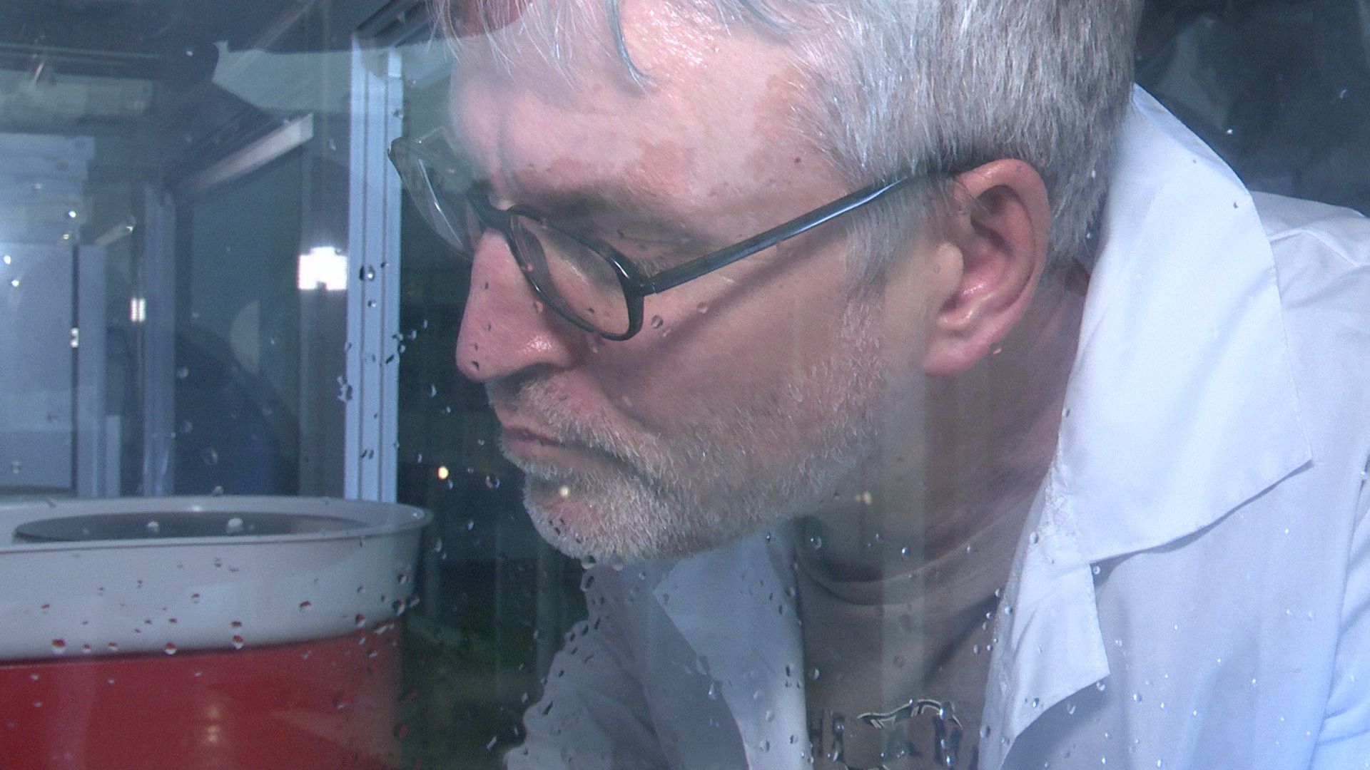 Реутов, метеориты, фестиваль, Тимур Крячко, исследования