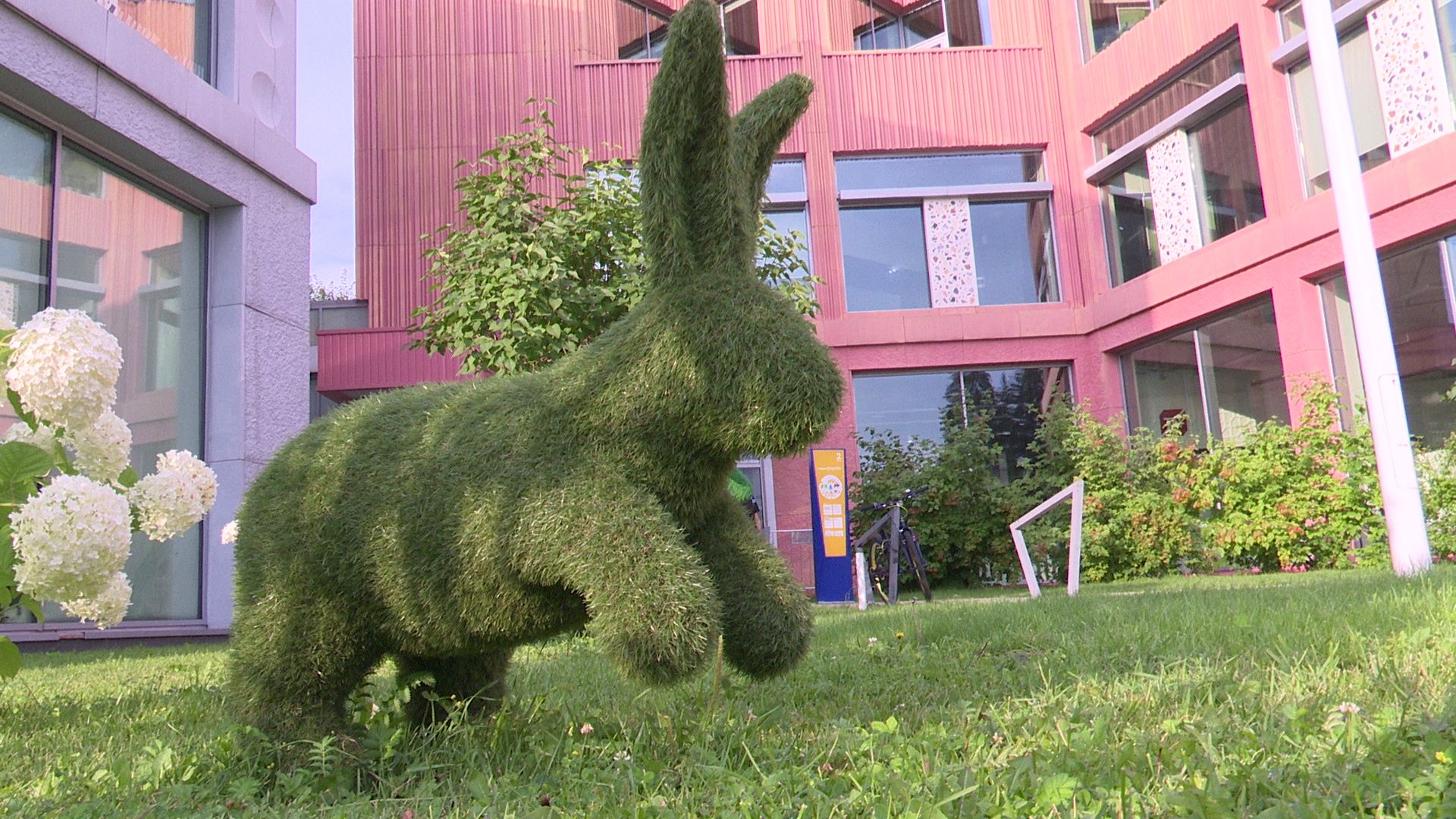 Реутов, метеориты, фестиваль, Тимур Крячко, исследования