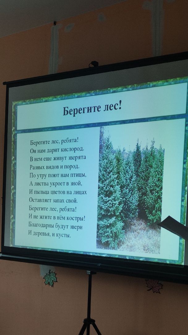 Берегите Лес, Рошальская Библиотека, Рошаль, День Работника Леса