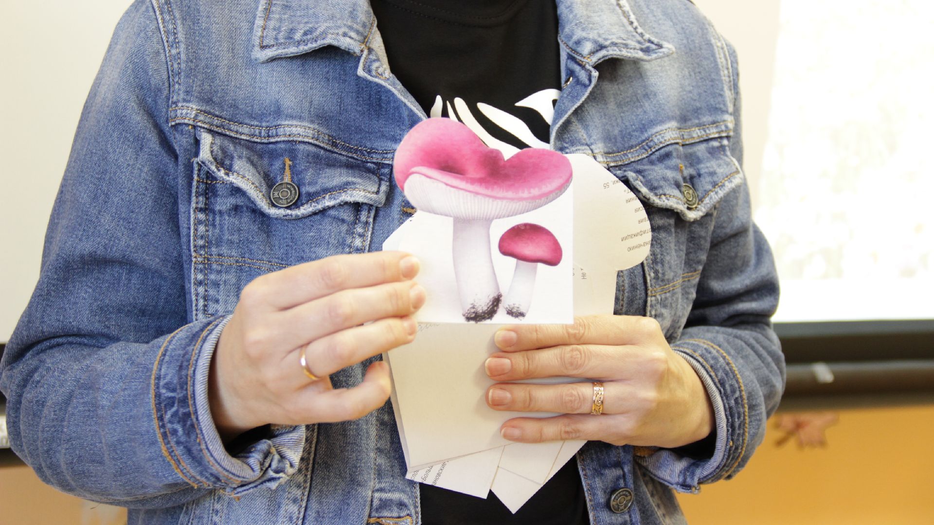 Берегите Лес, Рошальская Библиотека, Рошаль, День Работника Леса