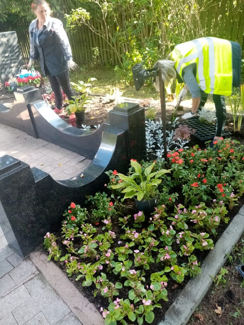 клумбы, цветники,