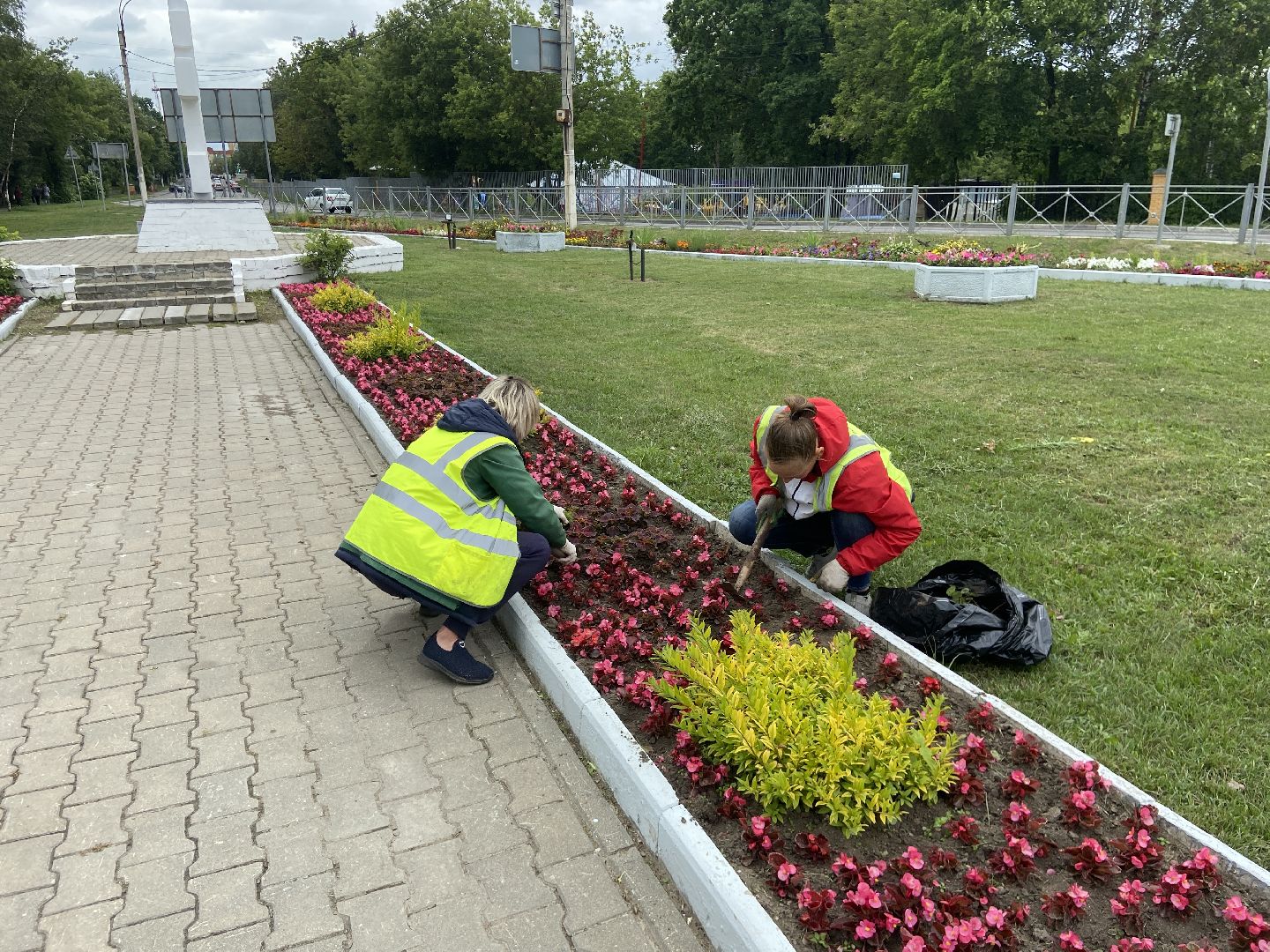 клумбы, цветники,